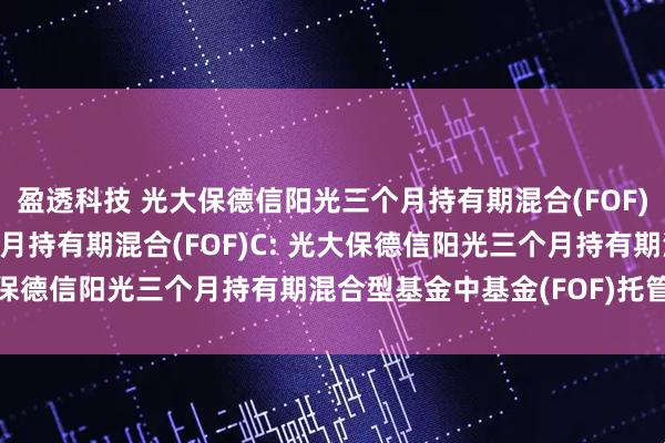 盈透科技 光大保德信阳光三个月持有期混合(FOF)A,光大保德信阳光三个月持有期混合(FOF)C: 光大保德信阳光三个月持有期混合型基金中基金(FOF)托管协议