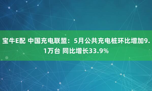 宝牛E配 中国充电联盟：5月公共充电桩环比增加9.1万台 同比增长33.9%