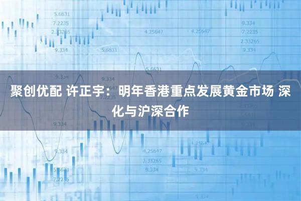 聚创优配 许正宇：明年香港重点发展黄金市场 深化与沪深合作