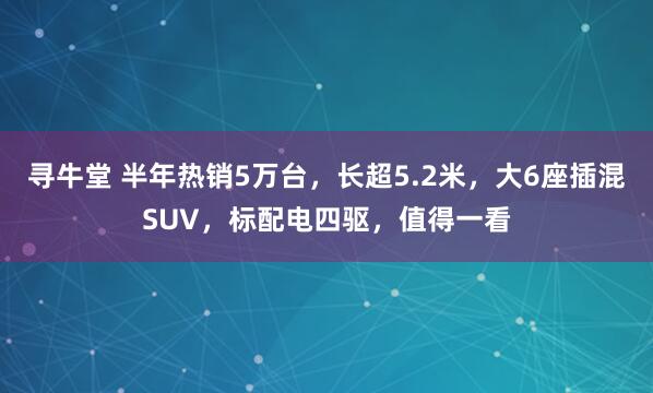 寻牛堂 半年热销5万台，长超5.2米，大6座插混SUV，标配电四驱，值得一看