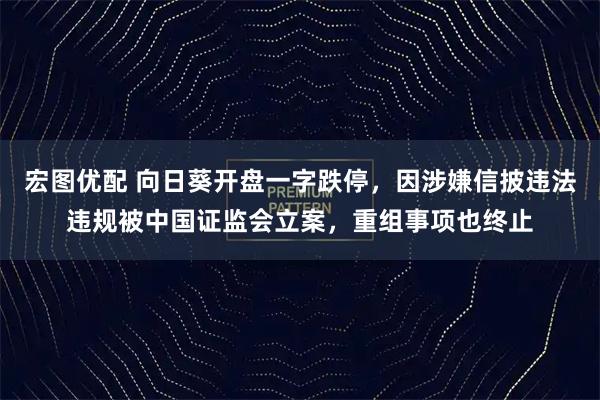 宏图优配 向日葵开盘一字跌停，因涉嫌信披违法违规被中国证监会立案，重组事项也终止