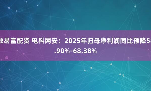 融易富配资 电科网安：2025年归母净利润同比预降58.90%-68.38%